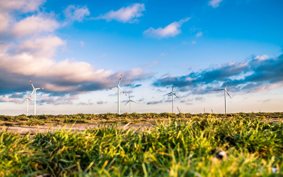 Erneuerbare Energie im Betrieb